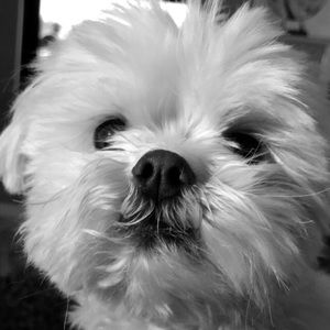 Meet your Posher, Jo